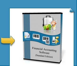 Financial Accounting Software (Standard Edition)