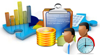 Financial Accounting Software (Enterprise Edition) 