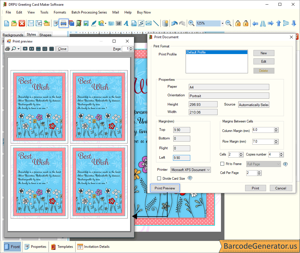 Print Preview Print Preview