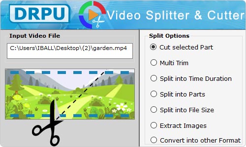 Video Split tool